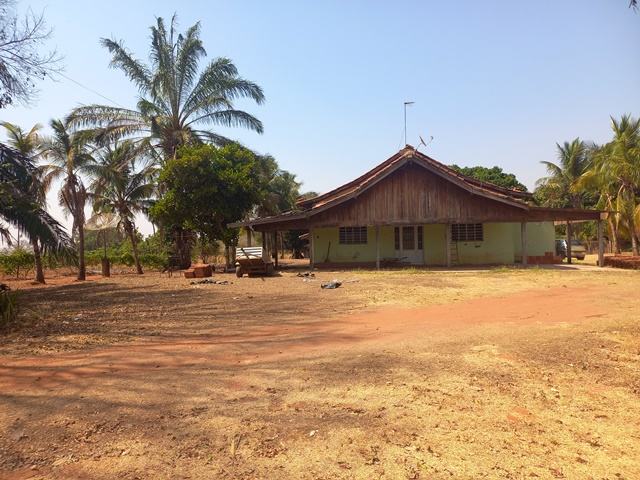 01 - Foto