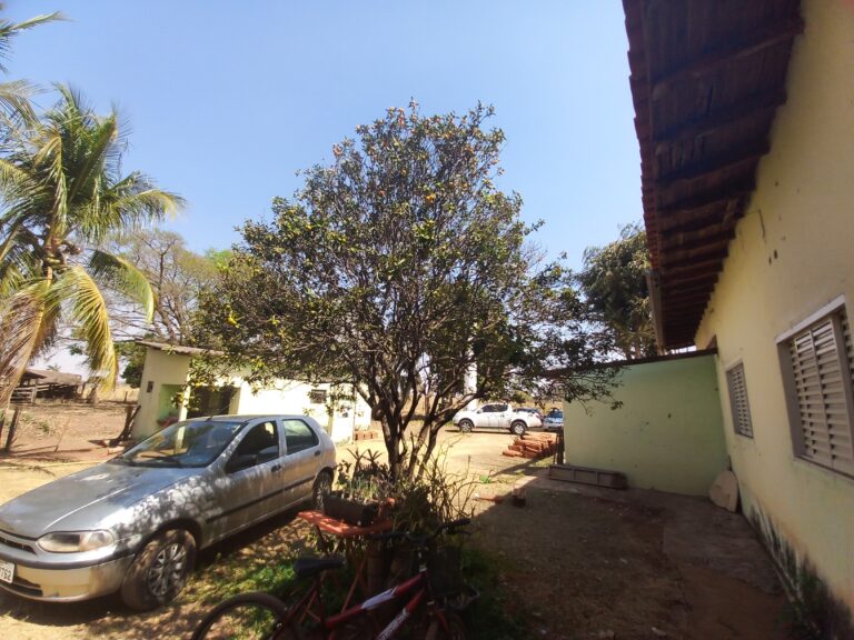 15 - Foto