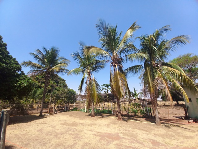 18 - Foto