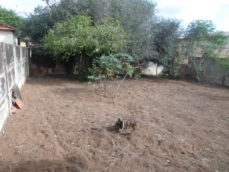 26 - quintal