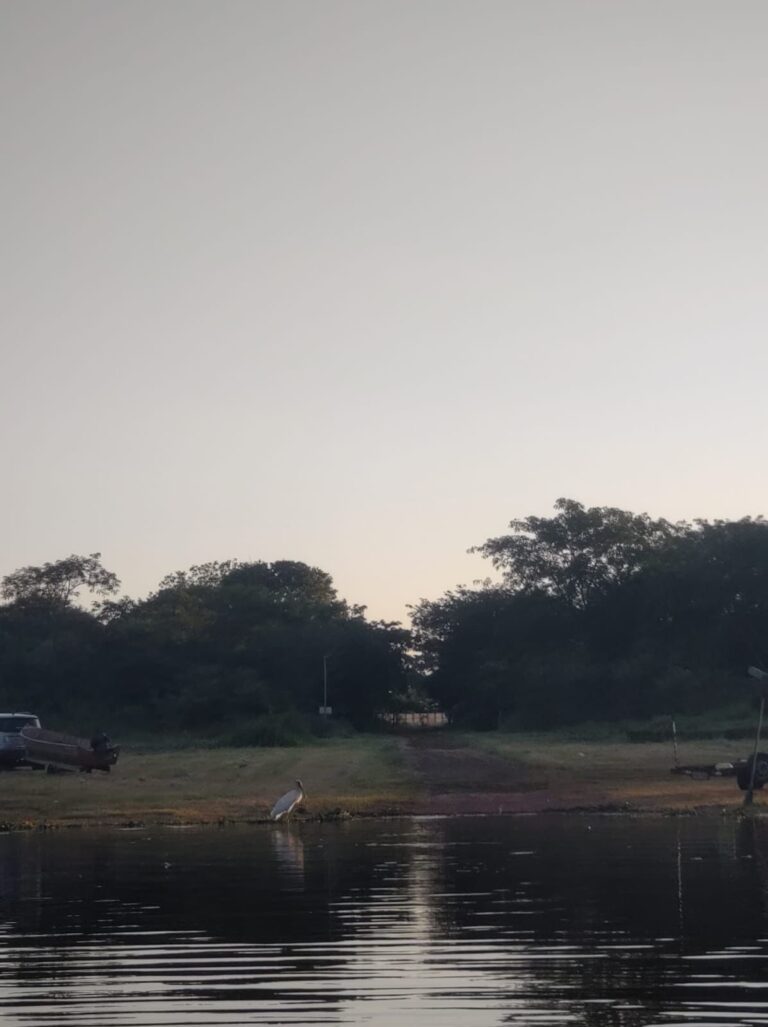 01 (5)