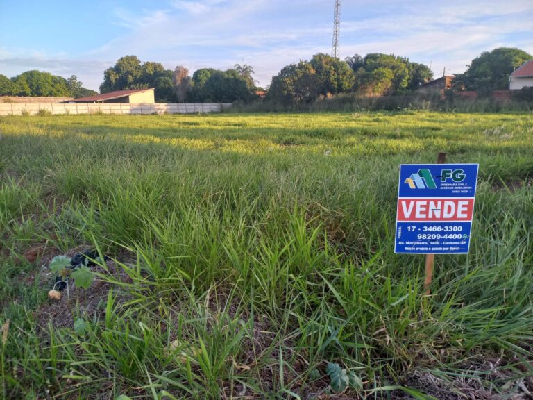 04 - Lote 02