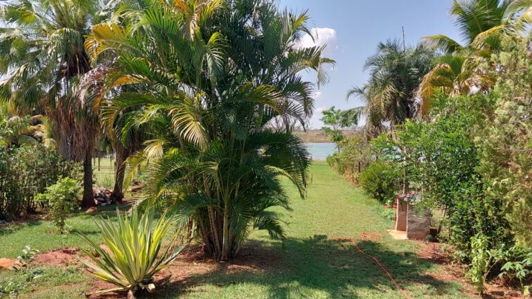 05 - Foto