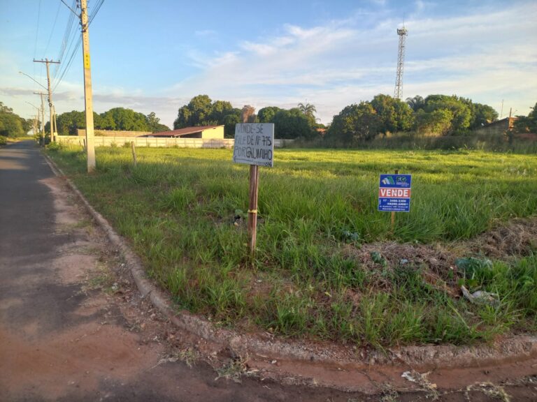 33ddc5e2-843e-4c8
